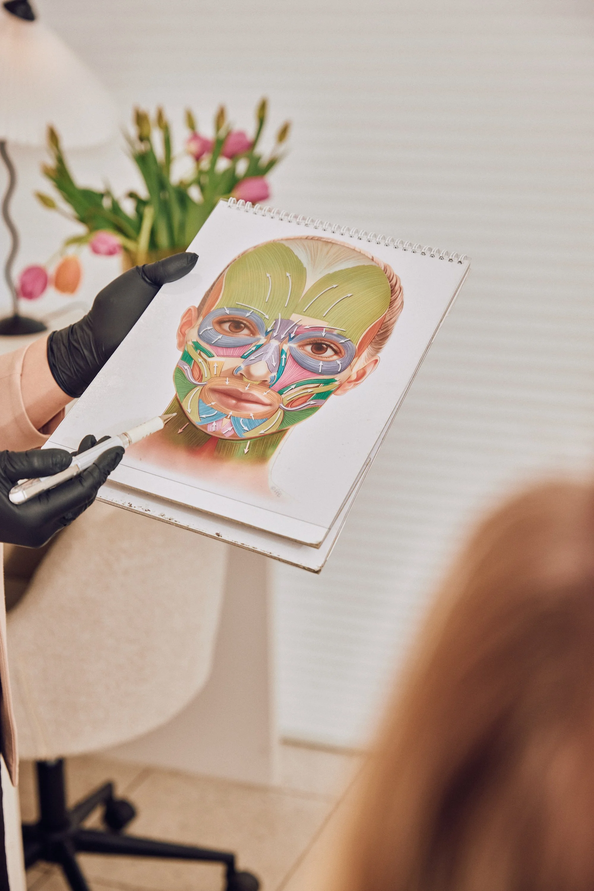 Person holding a diagram of facial muscles