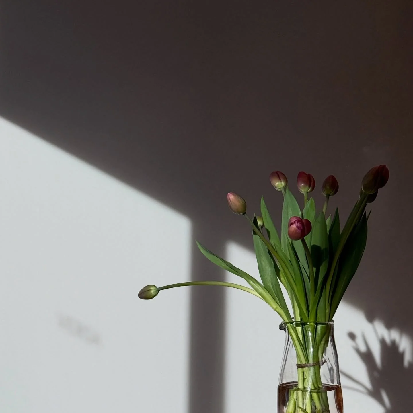 VACCINATIONS &amp; MEDICATIONS | At VERSA, your safety and wellbeing always come first. There are certain circumstances where our cosmetic nurses may not be able to proceed with treatment on the day of your appointment (i.e. currently taking antibiot