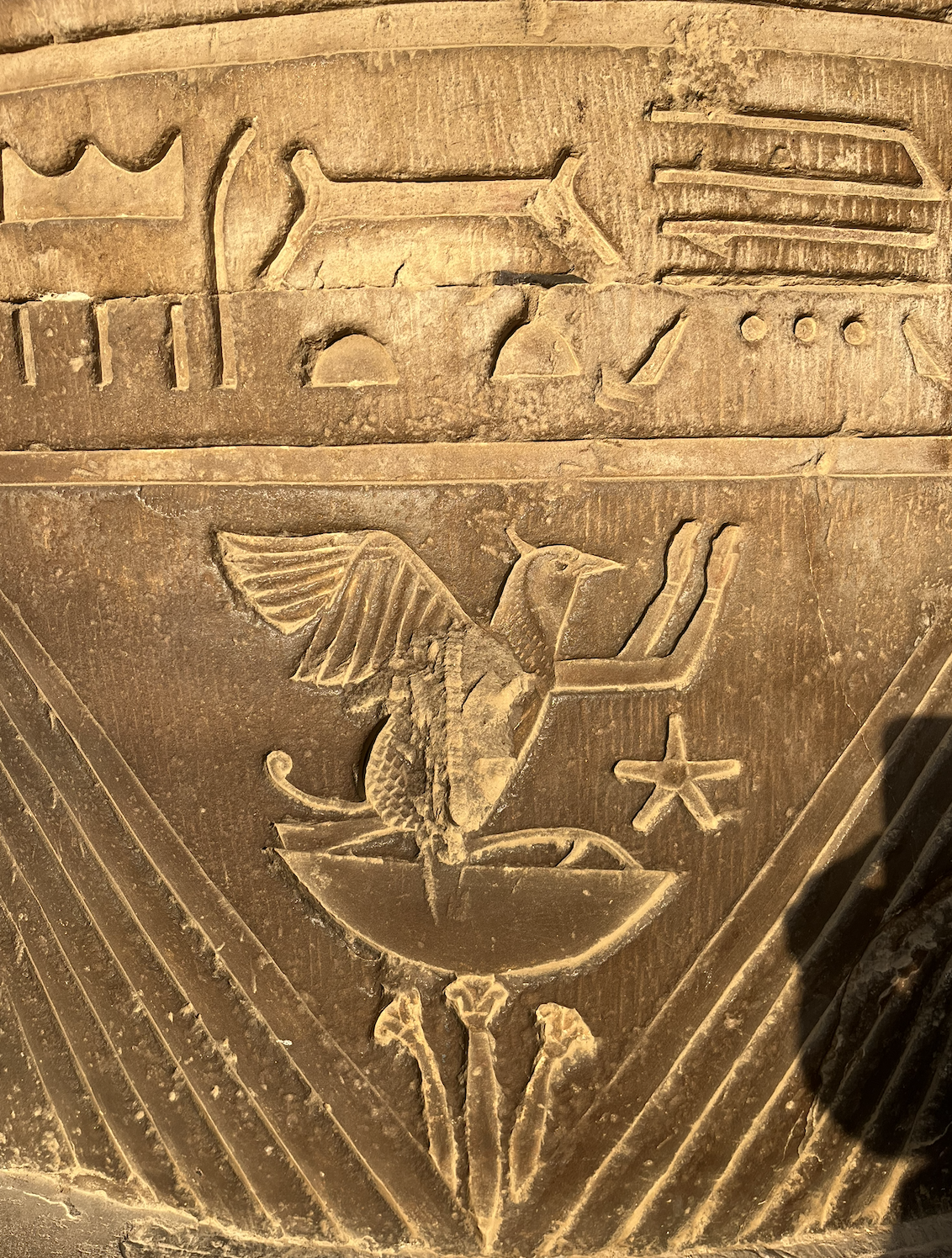 Screenshot 2025-12-14 at 7.04.05 PM.png