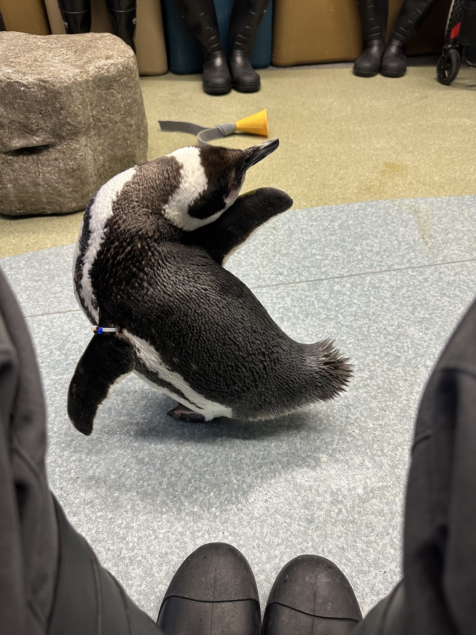 March etc 2026 Favorites 