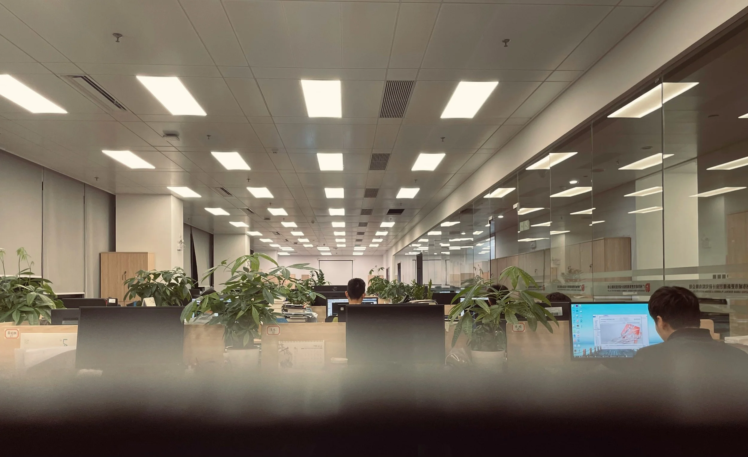 Office lighting with workers at their desks