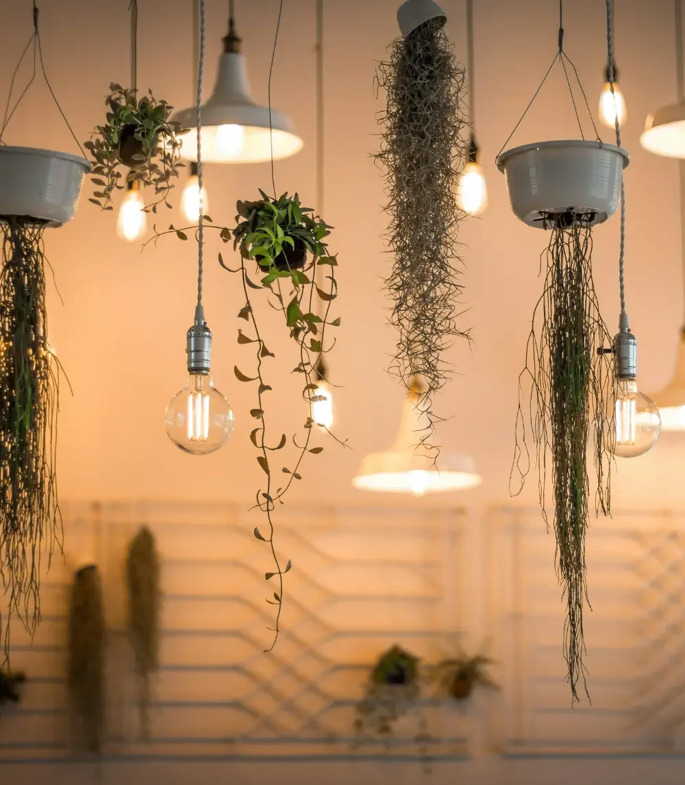 Lighting inside an apartment hanging from the ceiling.