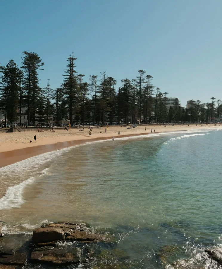 Manly beach during the day time with people on the beach