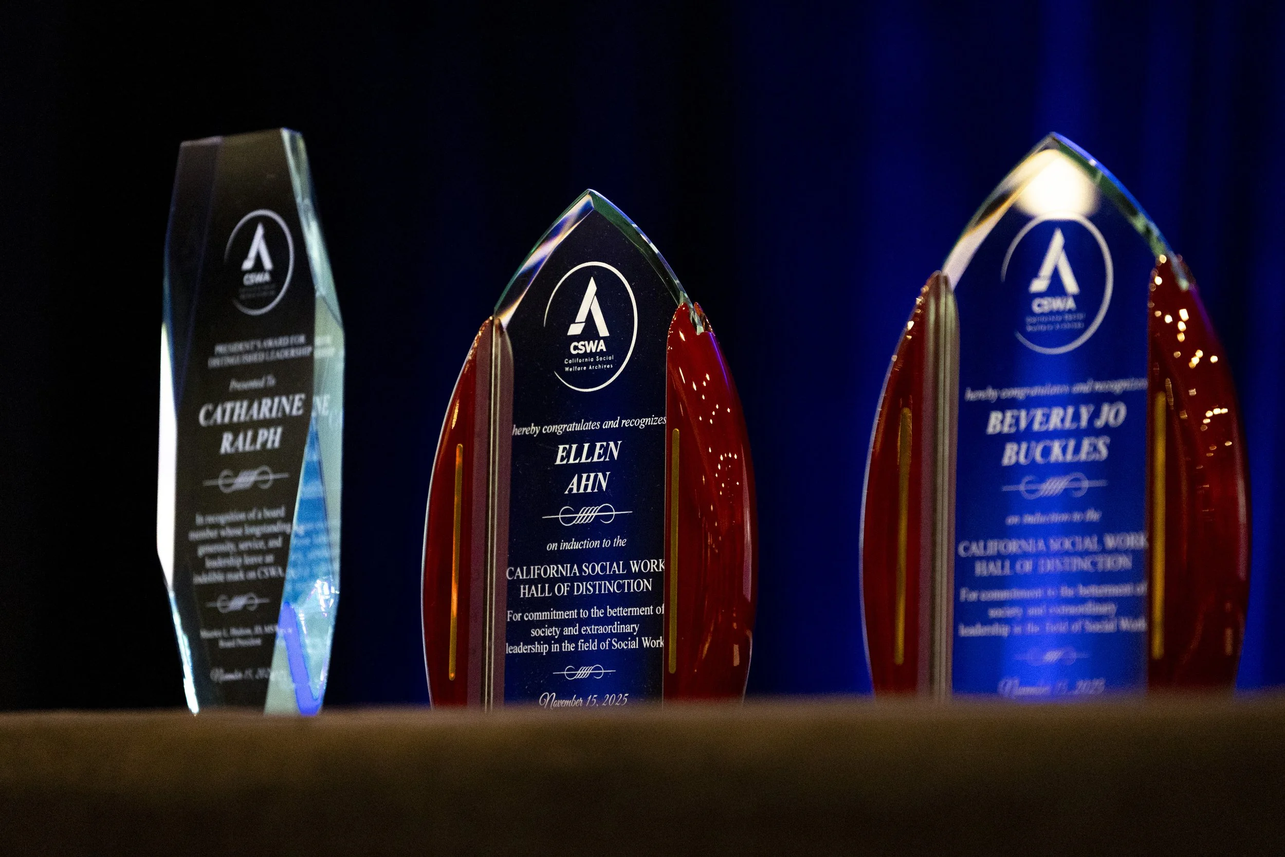 Three award trophies, with the middle and right ones having blue inscriptions, and the left one having slightly different shape and color, placed on a surface against a dark background.