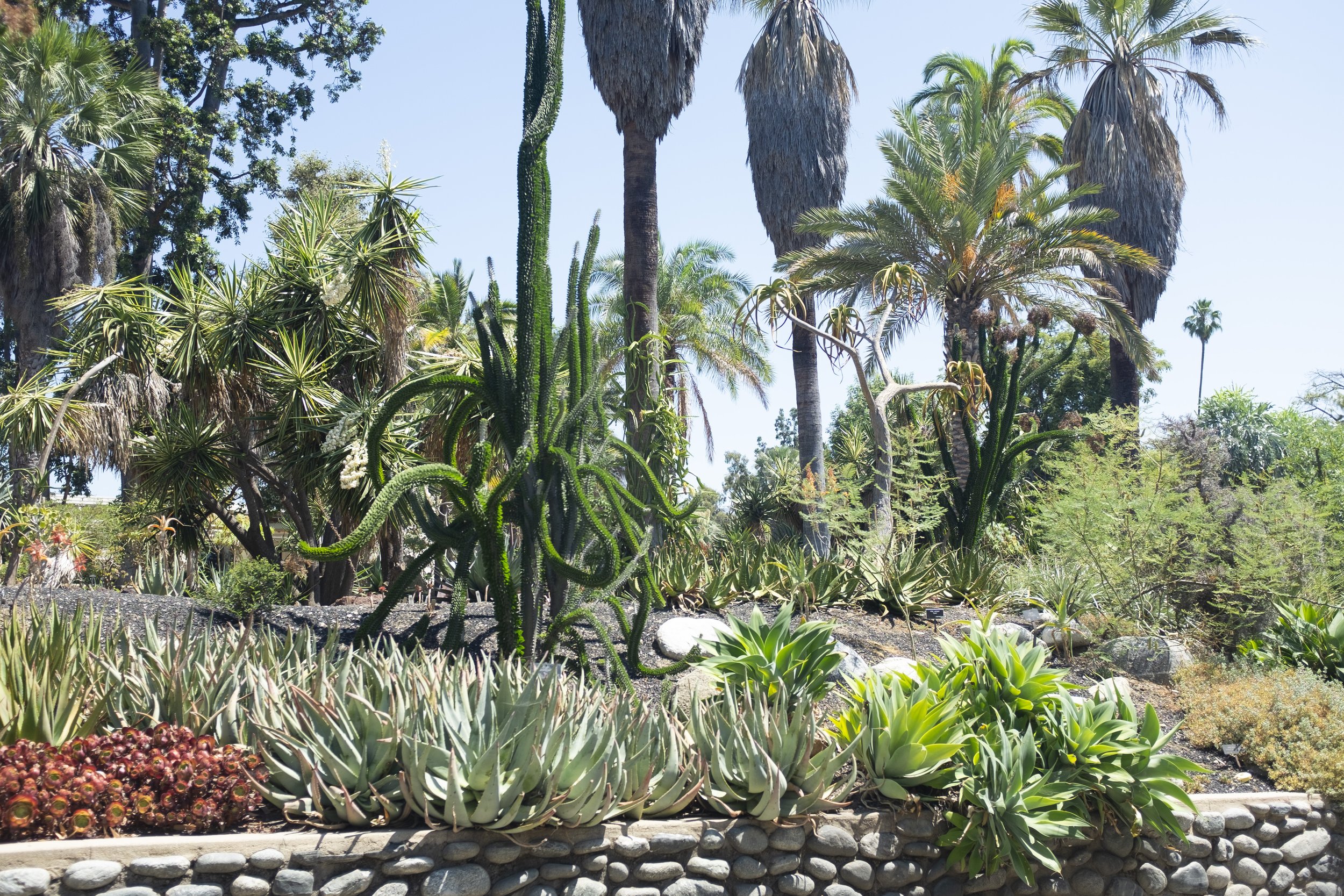 Huntington_Botanical_Garden_2.JPG