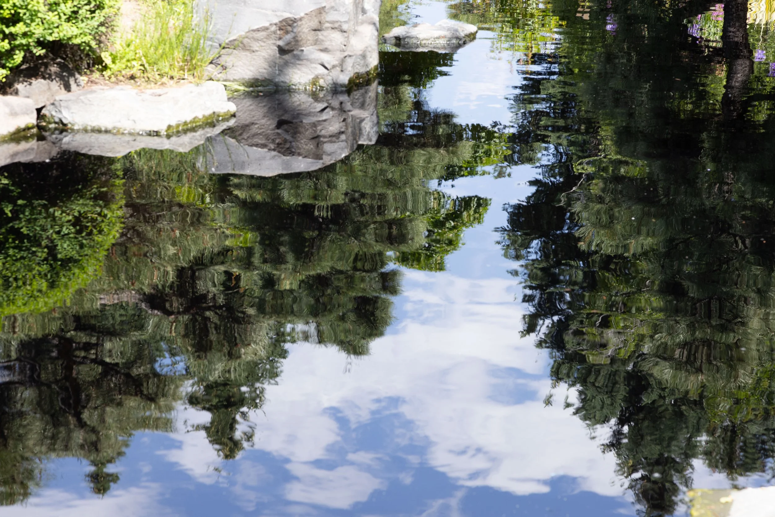 Reflection of trees and sky in calm, clear pond water surrounded by rocks and greenery.