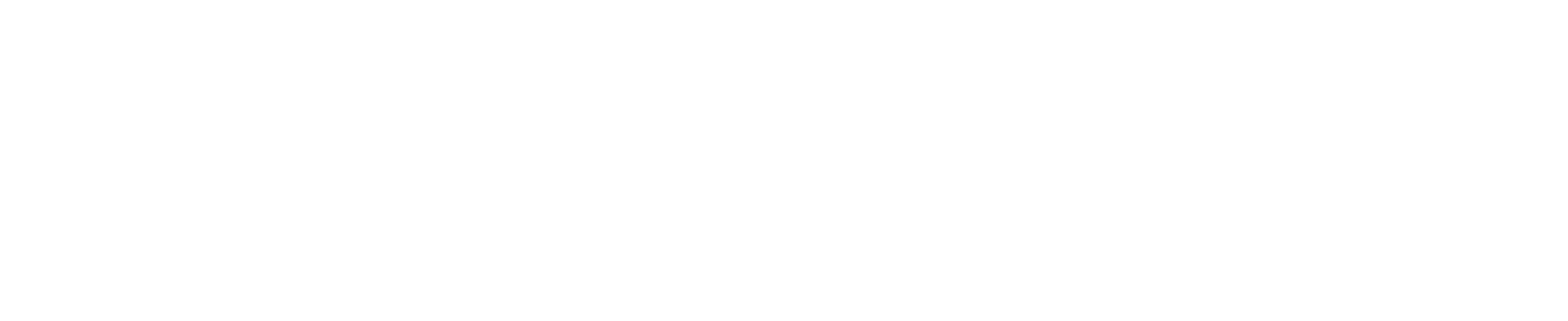 white rectangular  logo for BRUICHLADDICH NYCFF 2026