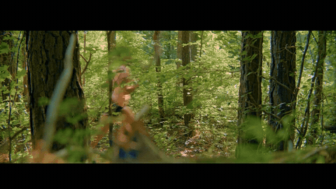 Triangle Land Conservancy - Water Cycle-8qivqj5n2w.gif