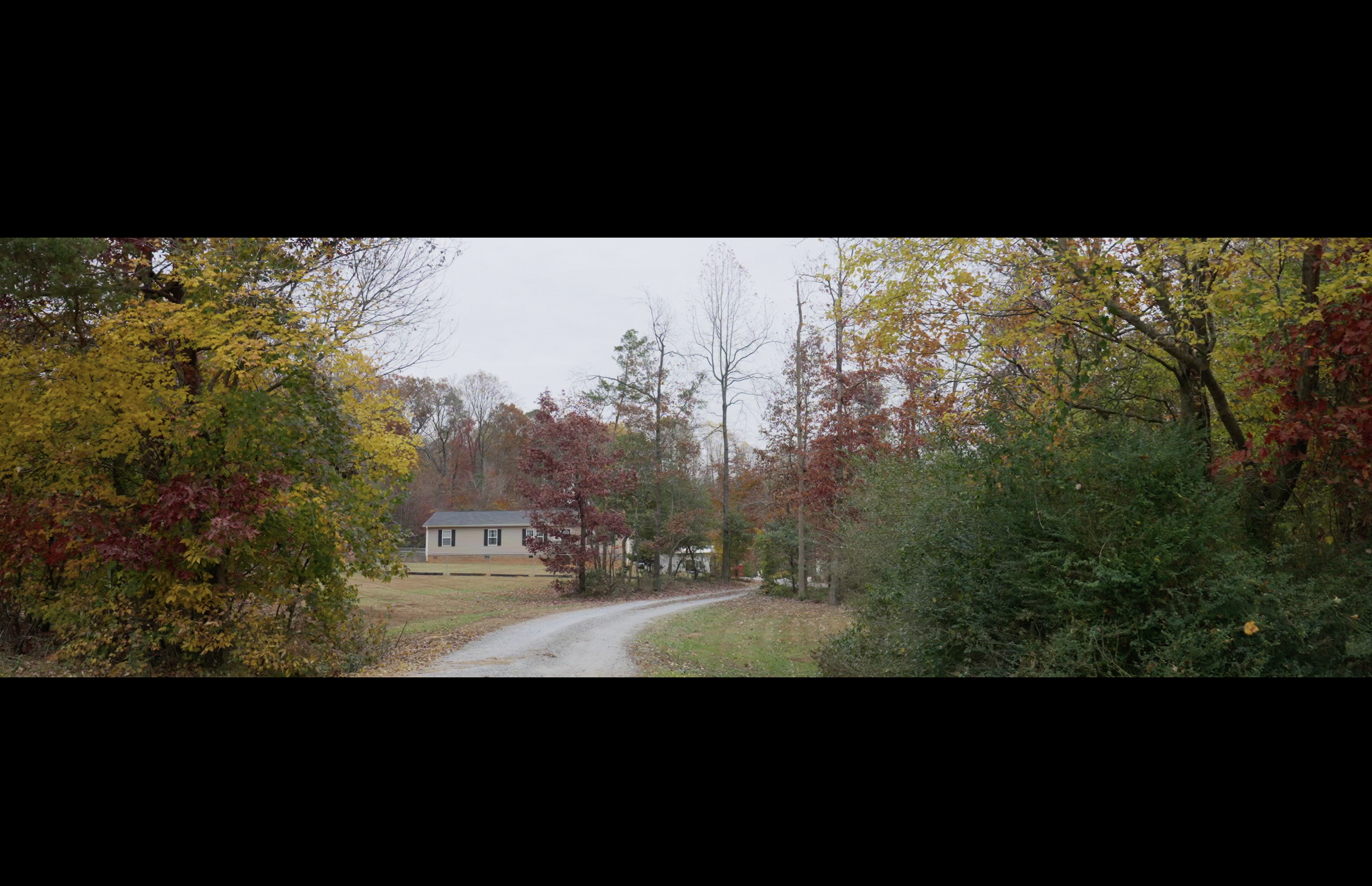 Screenshot 2026-02-16 at 9.24.56 PM.png