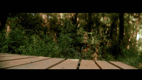 Triangle Land Conservancy - Water Cycle-8qivqj5n2w_2.gif