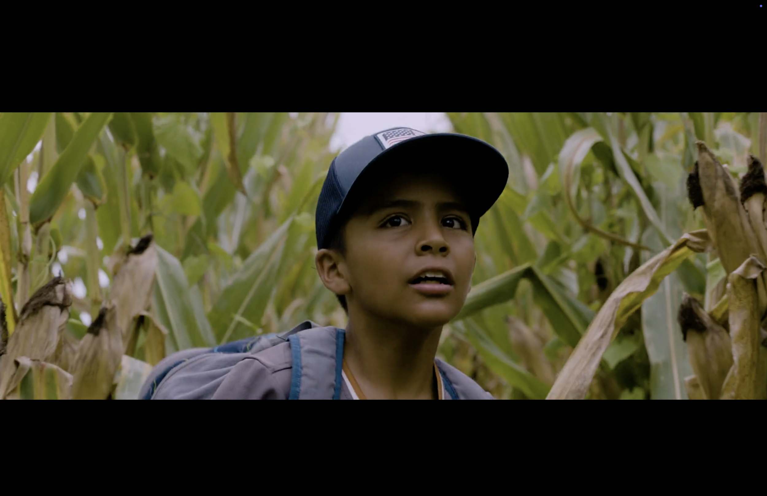 Screenshot 2026-02-16 at 8.46.02 PM.png