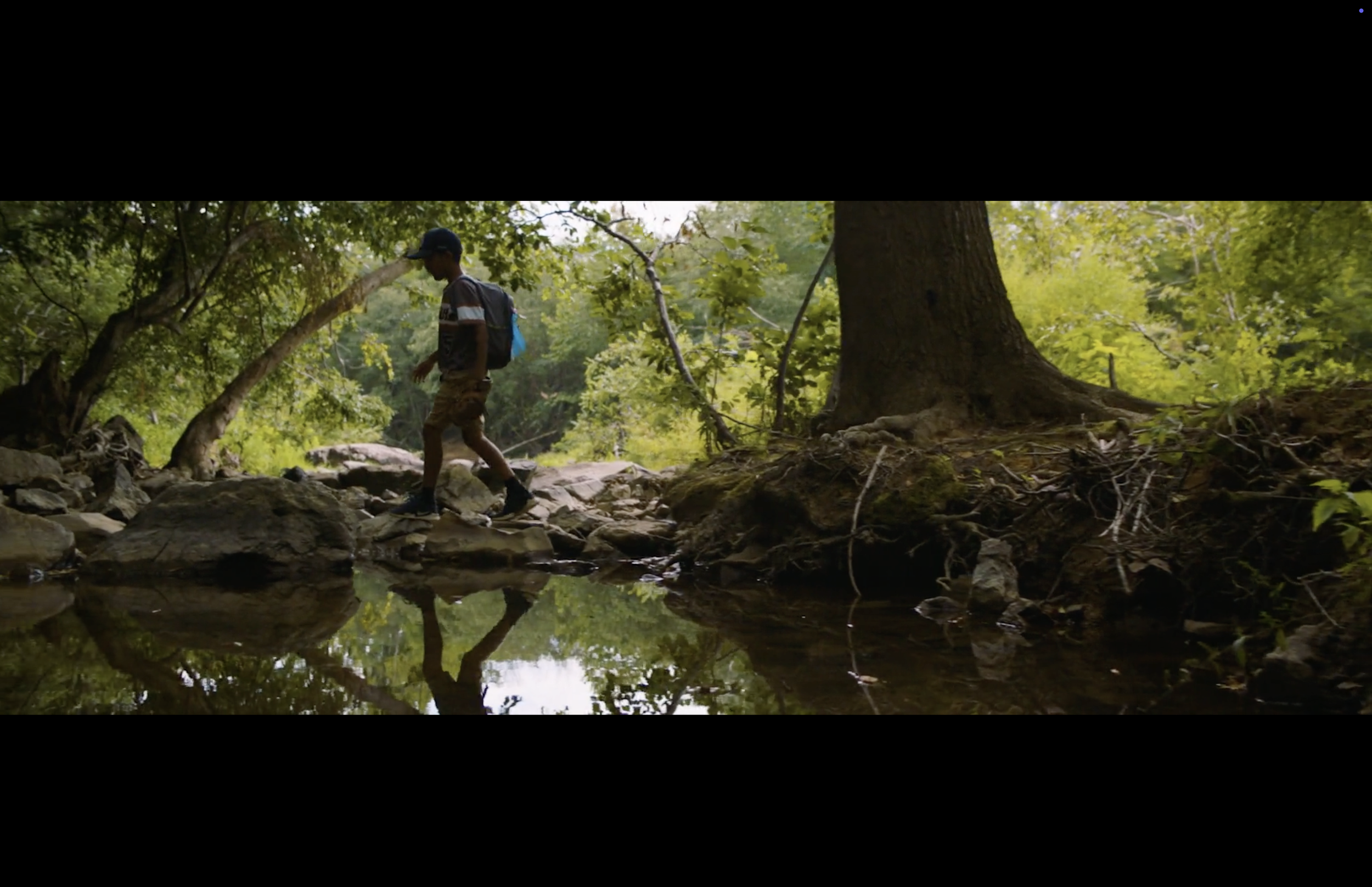 Screenshot 2026-02-16 at 8.44.11 PM.png