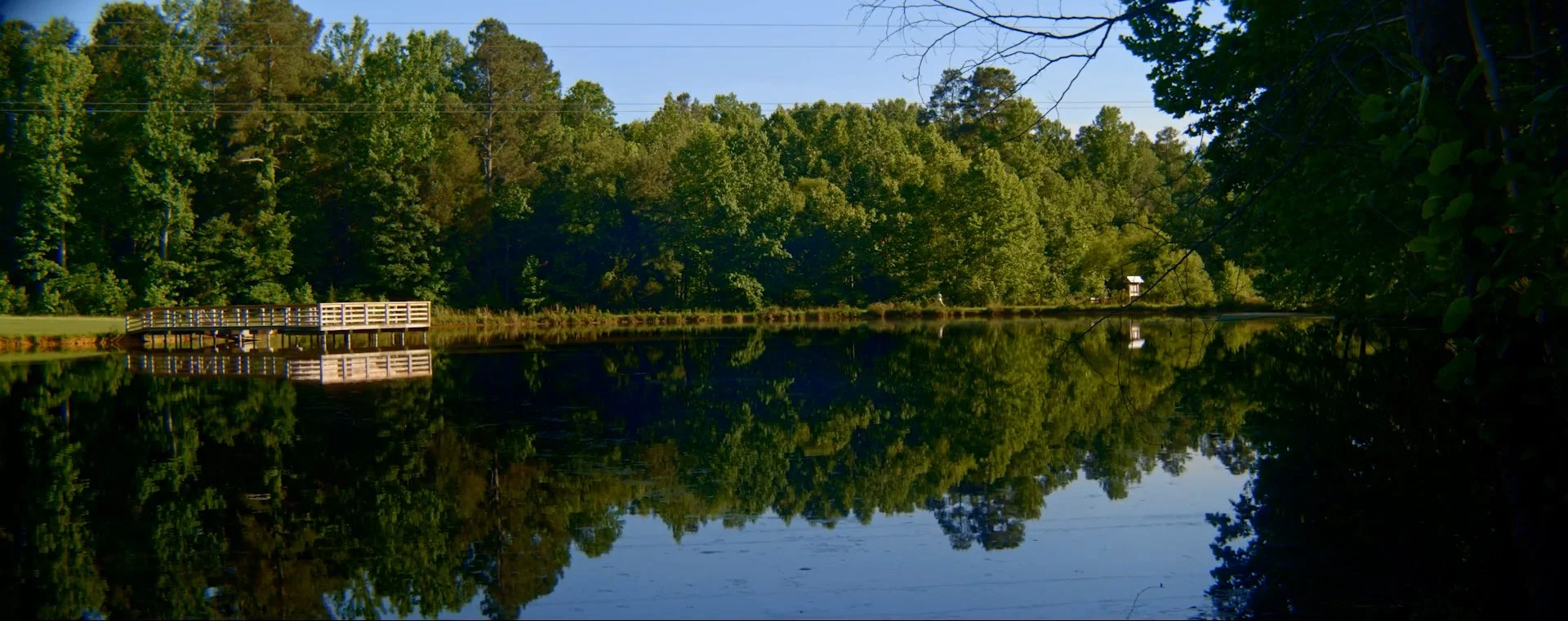 Triangle Land Conservancy