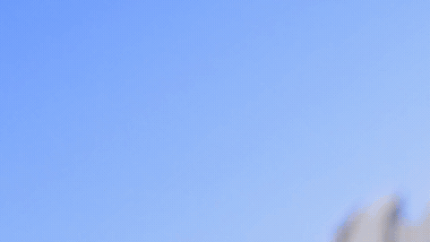 Second Nature - RBP Explainer_3.gif