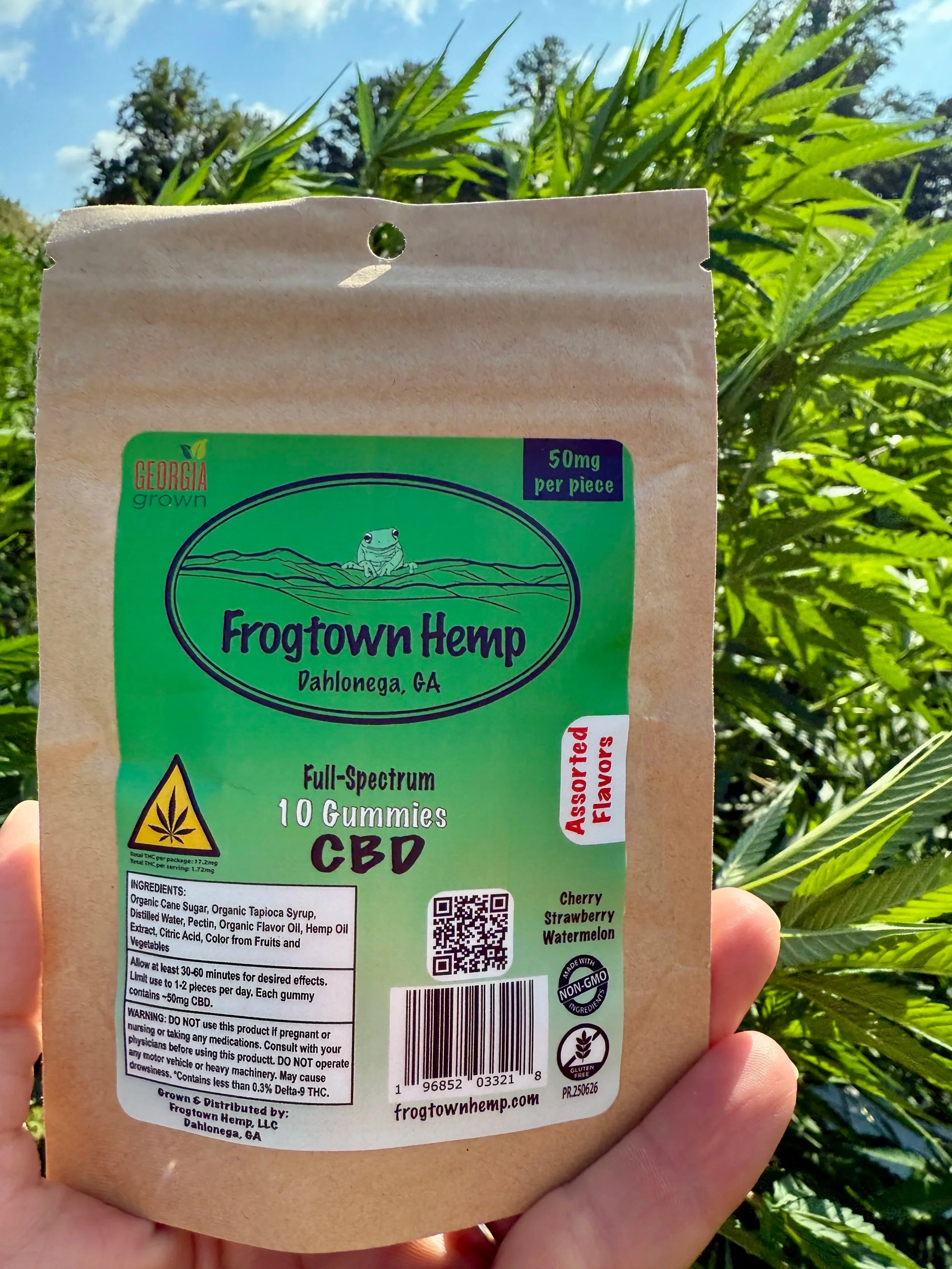 10 pack gummy - assorted flavors