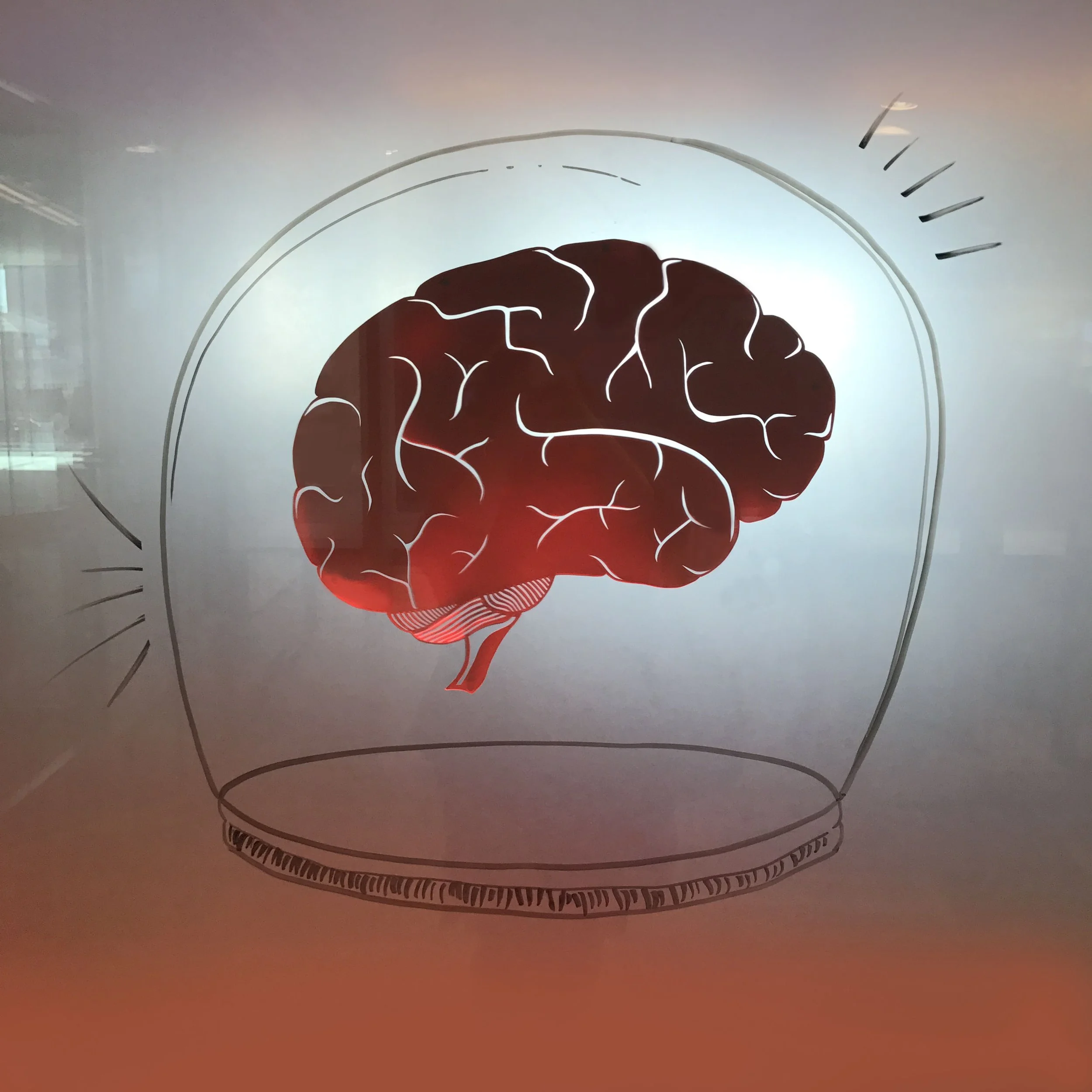 brain 2.jpg
