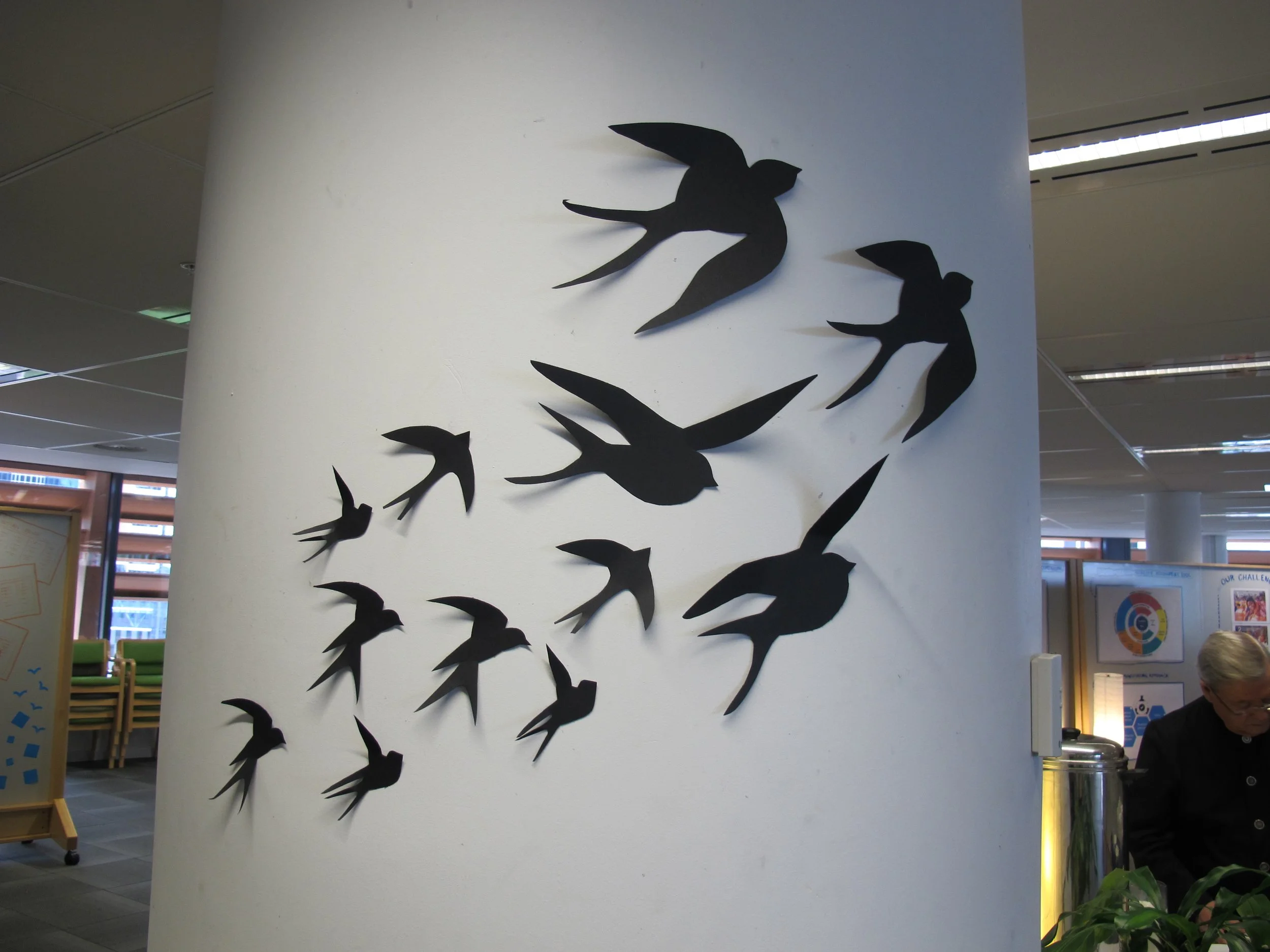 birds installation.JPG