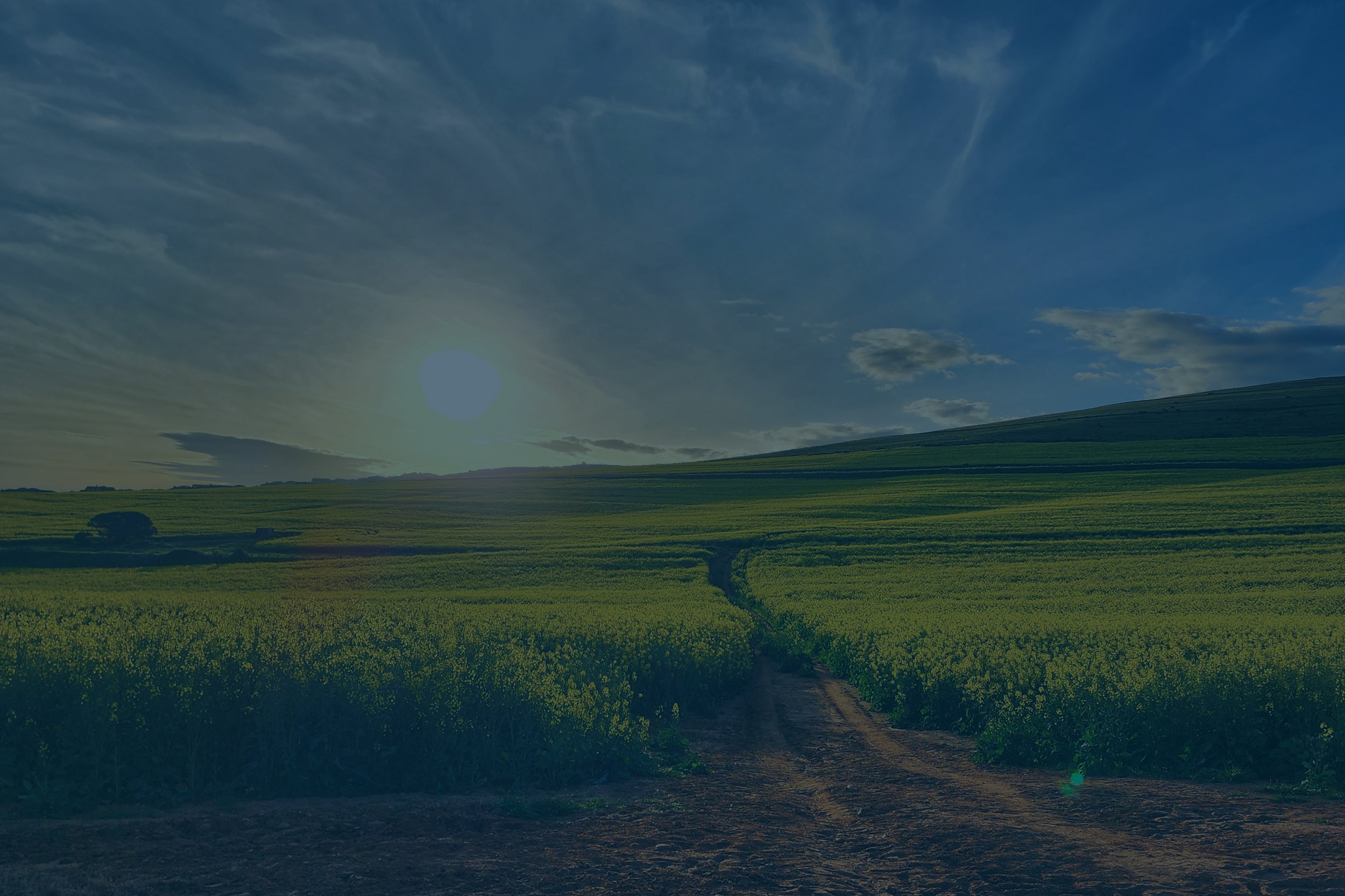 ROADNIGHT MUSING – NOVEMBER 2025