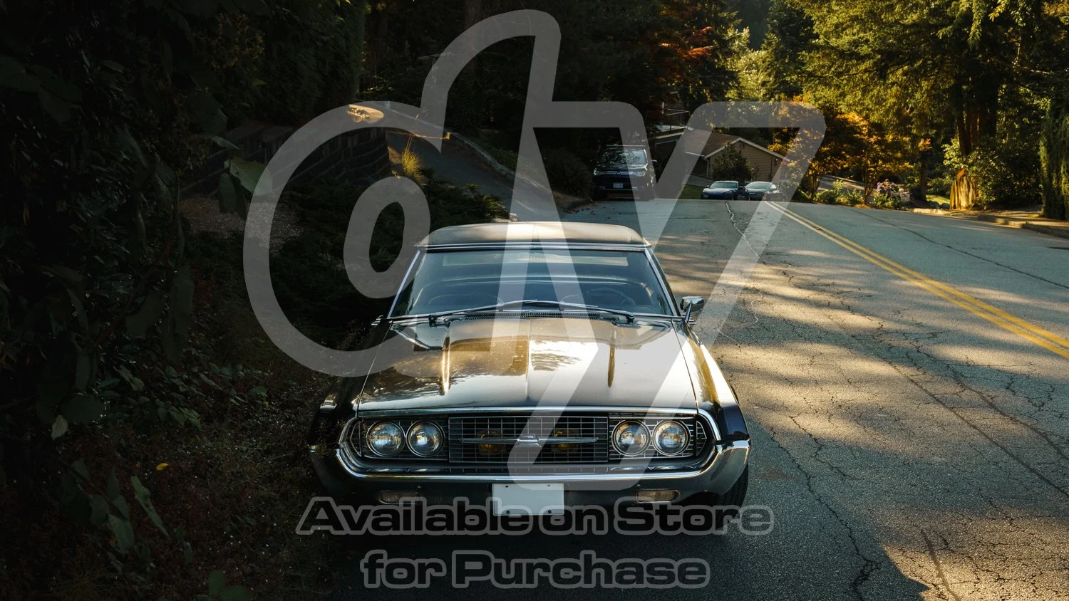 Ford Thunderbird 4k [Desktop Wallpaper]-2.jpg