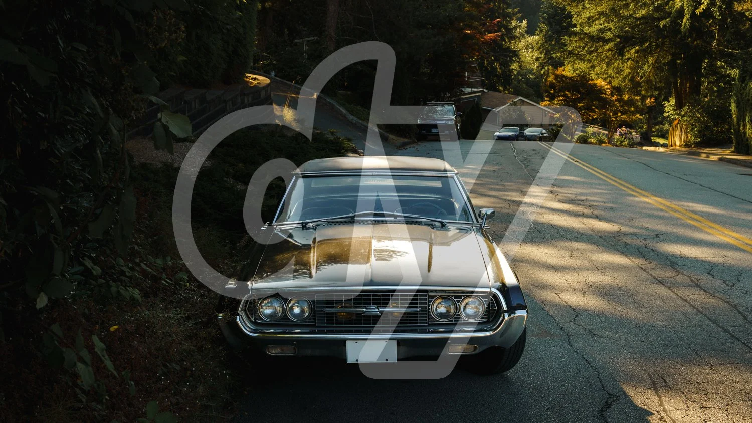 Ford Thunderbird 4k [Desktop Wallpaper].jpg