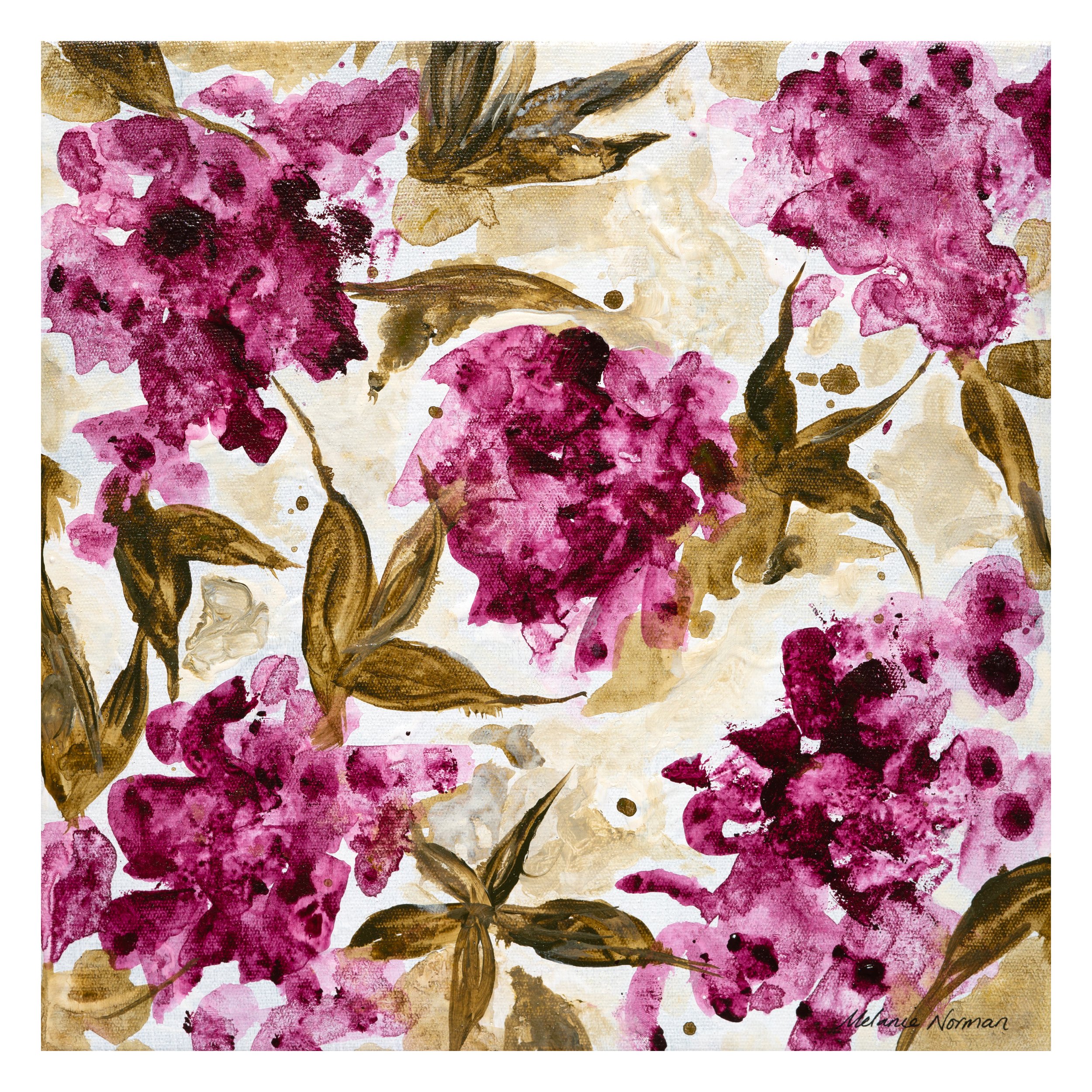 Where the gumnuts grow.jpg