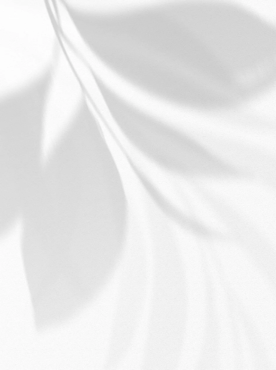 Abstract light gray leaf shadows on a white textured background.