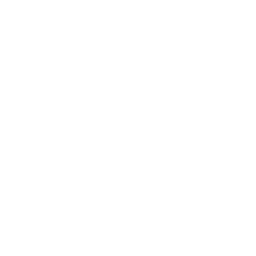White path with circles and a flag icon on a black background