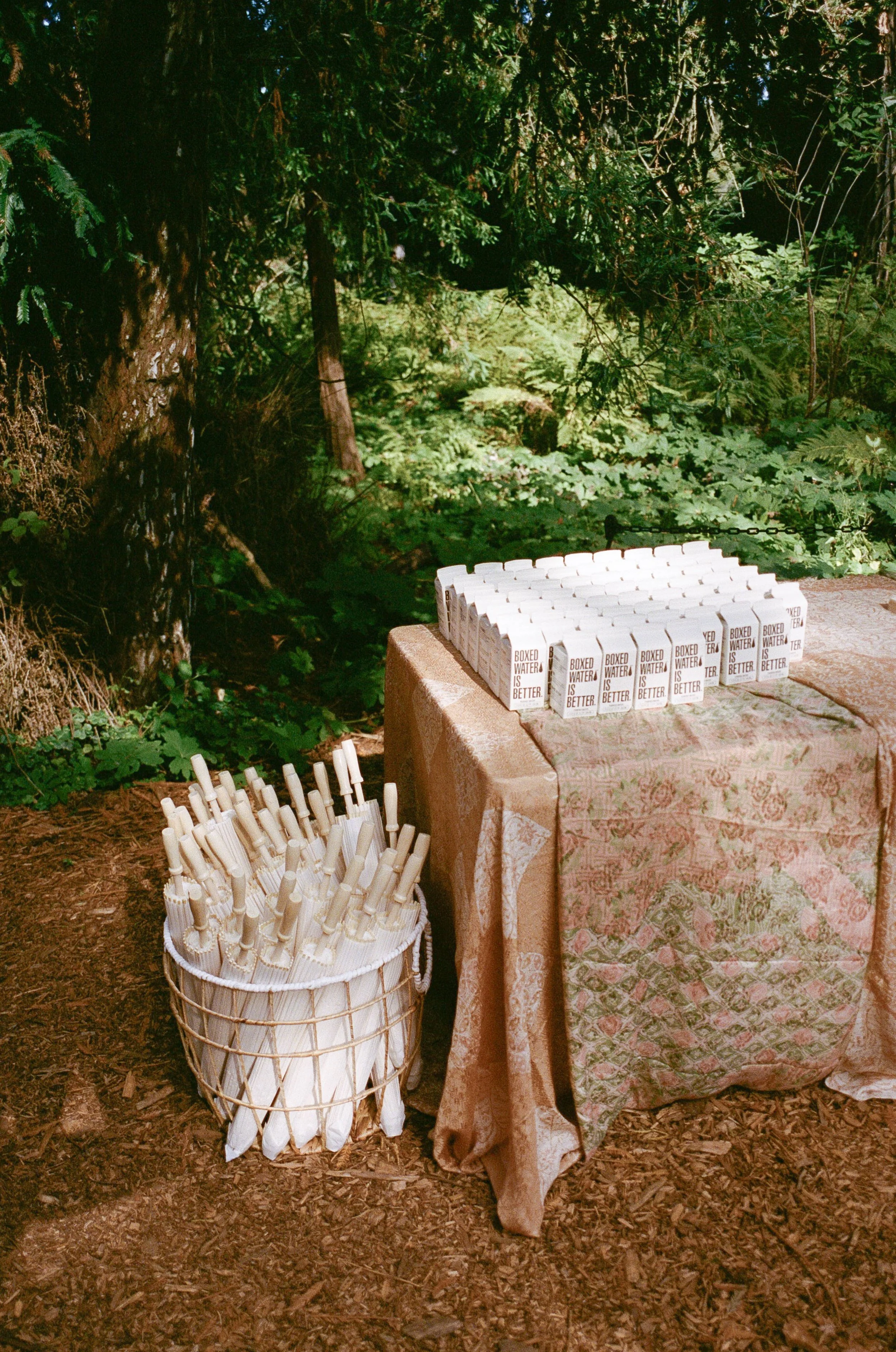 edeline-andreas-wedding-130.jpg
