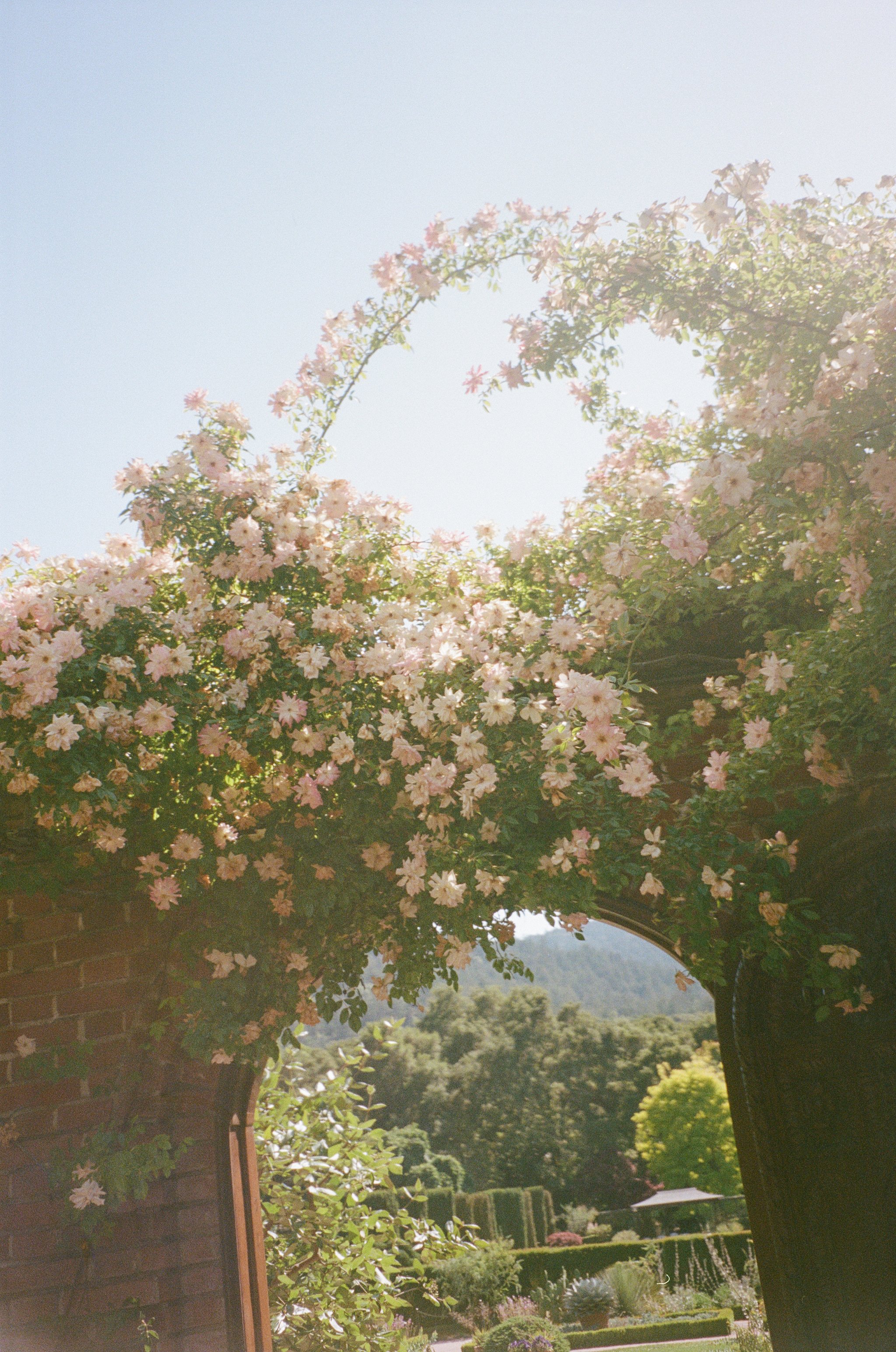 T+D_Preview_Film-32.jpg