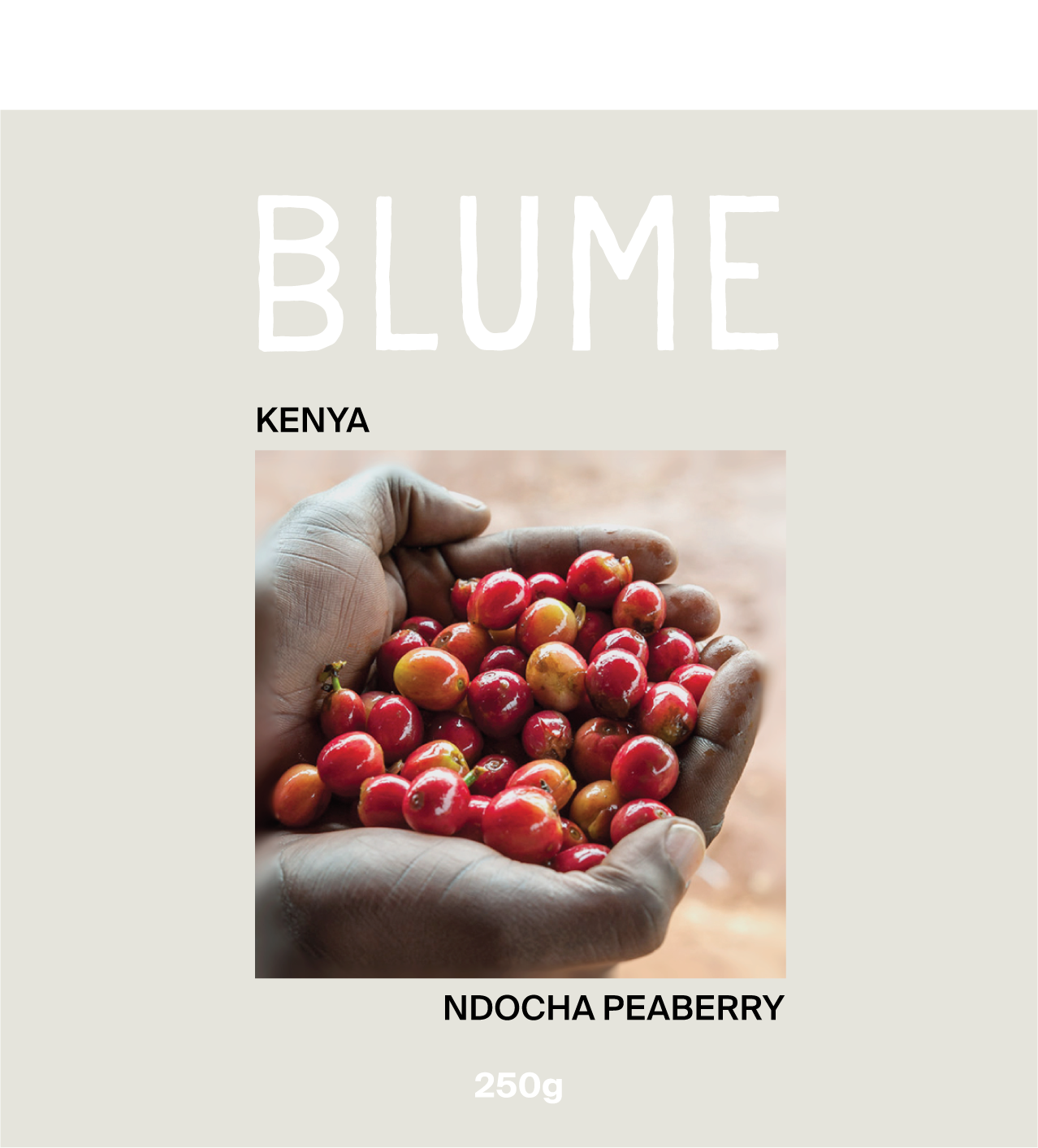 KENYA — Ndocha Estate Peaberry | SWEET