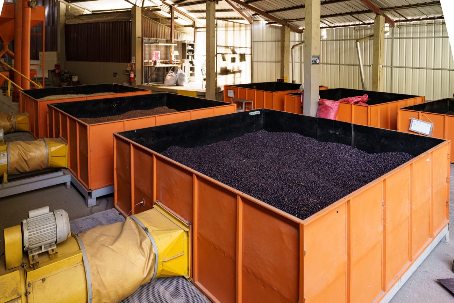 Los Rodríguez Peaberry Java Coco Natural 5.jpg