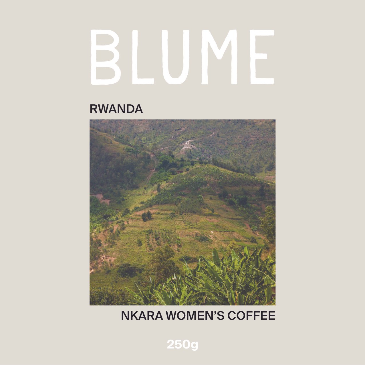 RWANDA — Nkara Women's Coffee | FRUITY