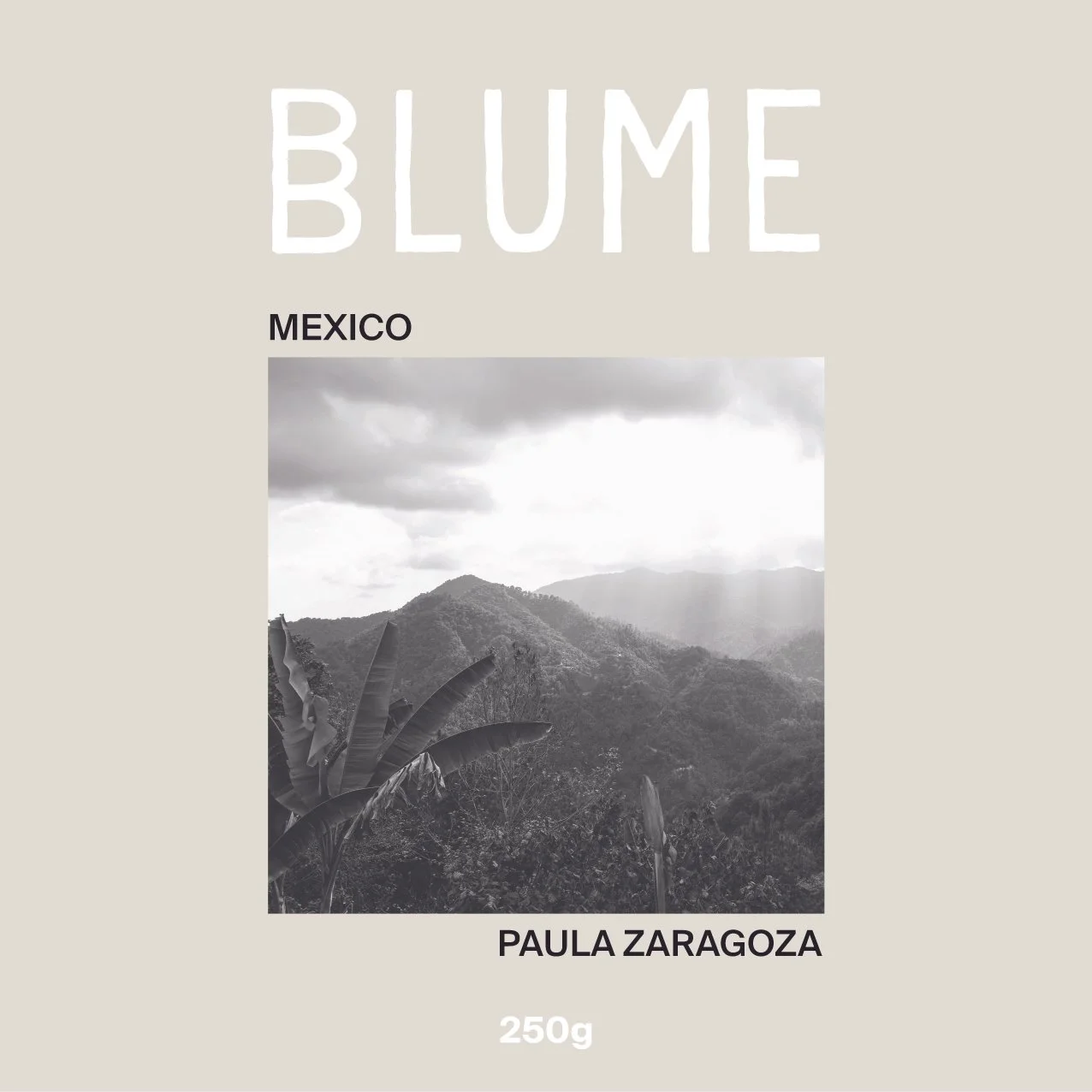 MEXICO — Finca Llano Encino | CLASSIC