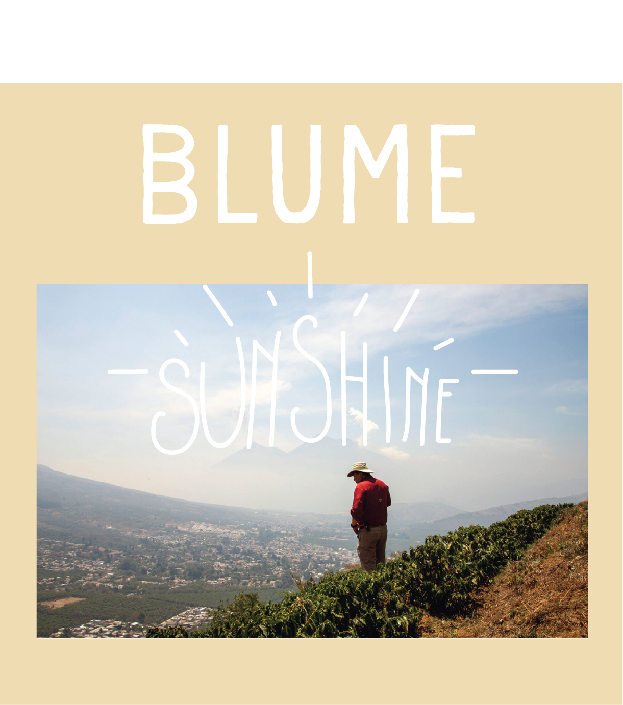 Sunshine