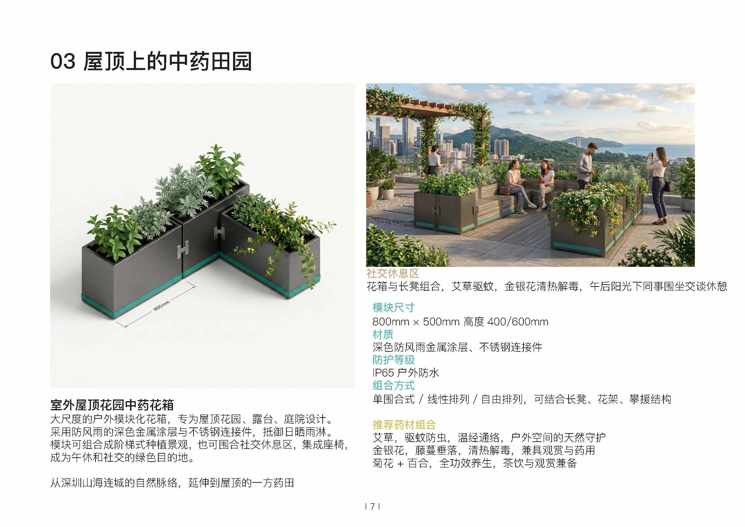 本草盒子2026_页面_7.jpg