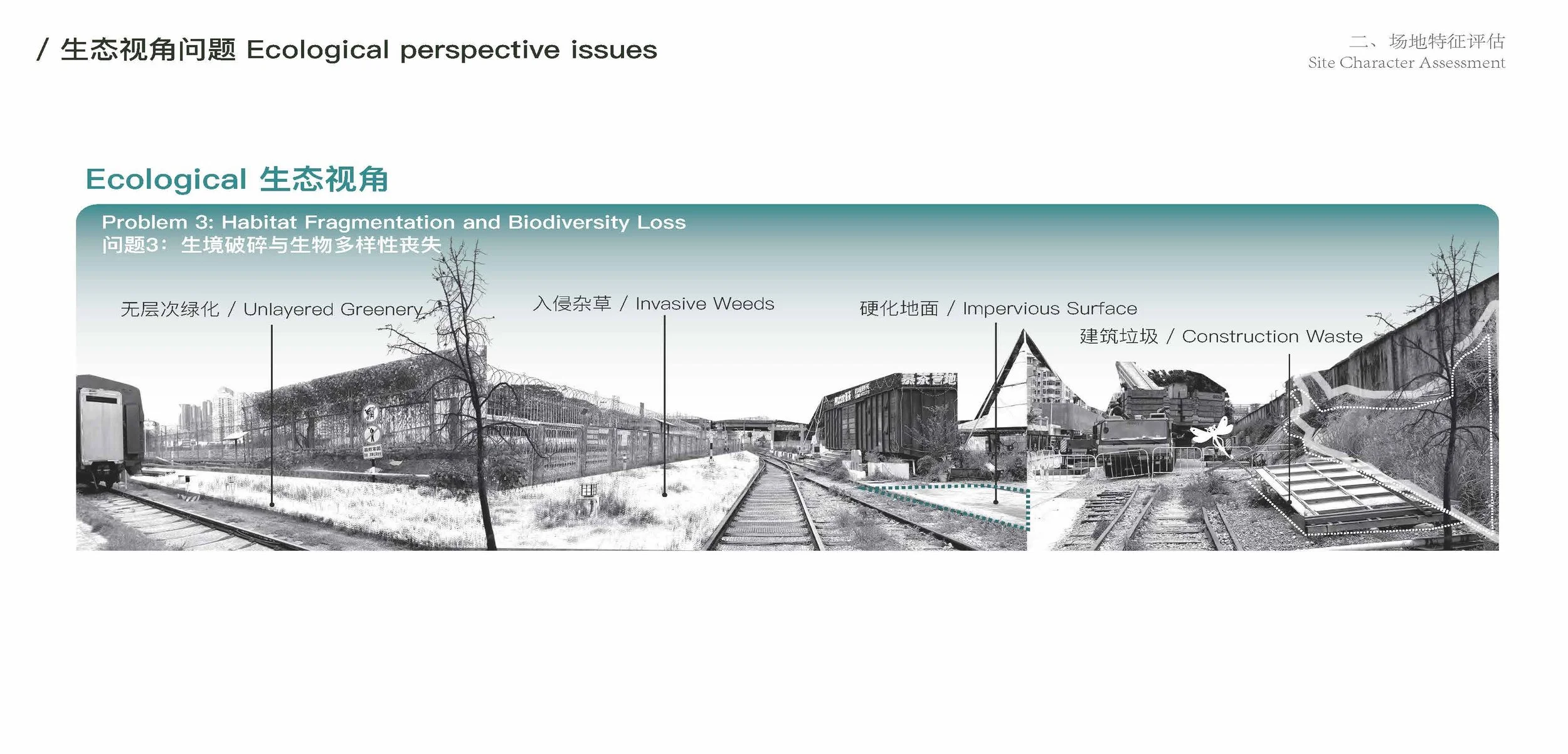 202200602021-莫嘉丽-202200602013-师嘉豪-PPT_页面_12.jpg