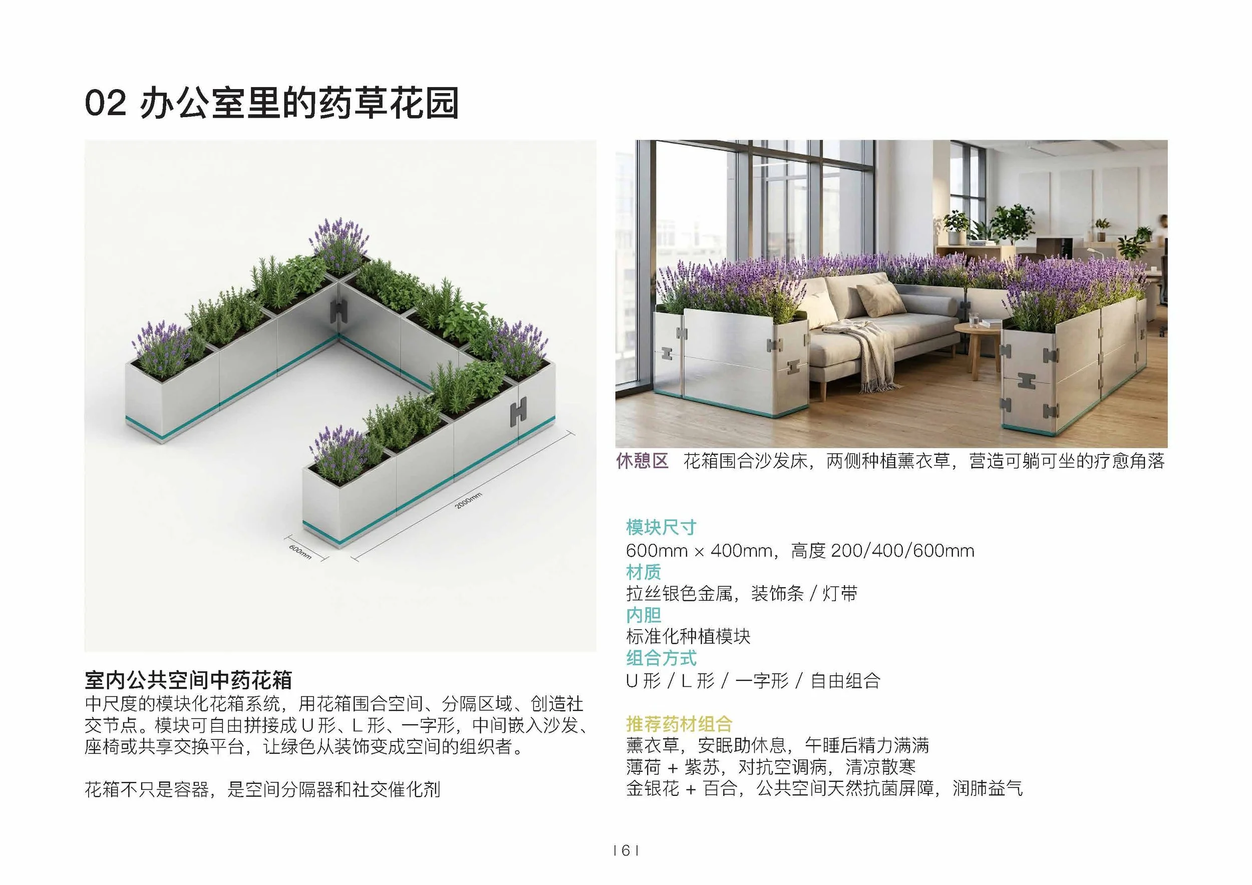 本草盒子2026_页面_6.jpg