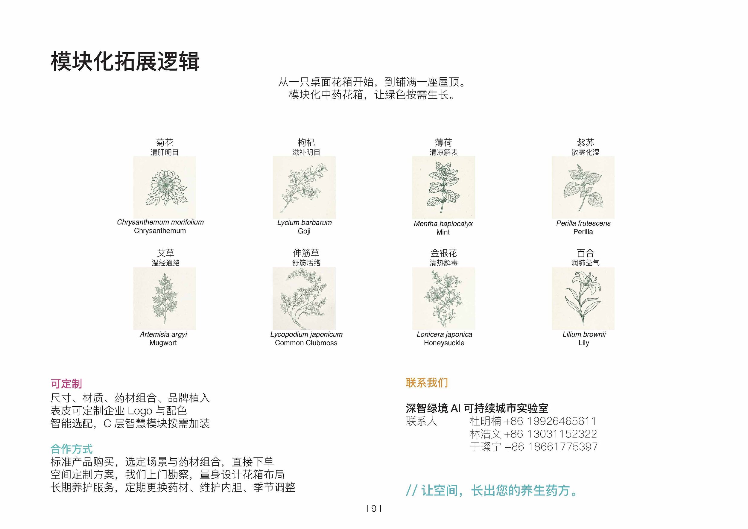本草盒子2026_页面_9.jpg