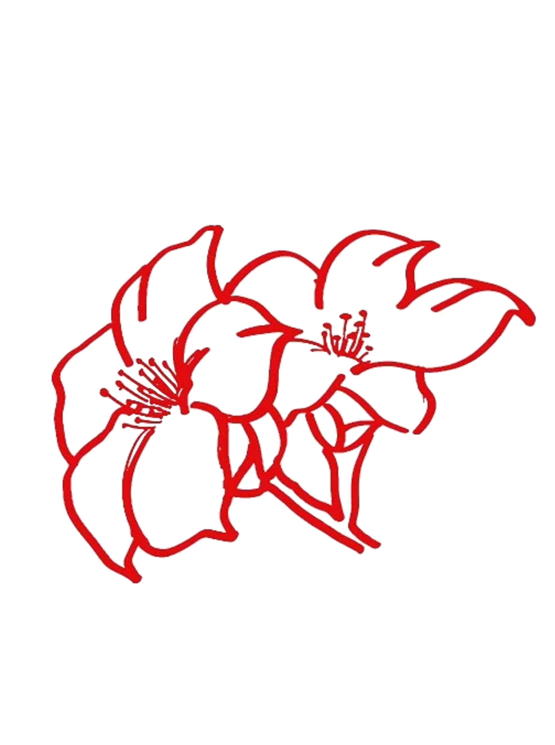 印章3.png