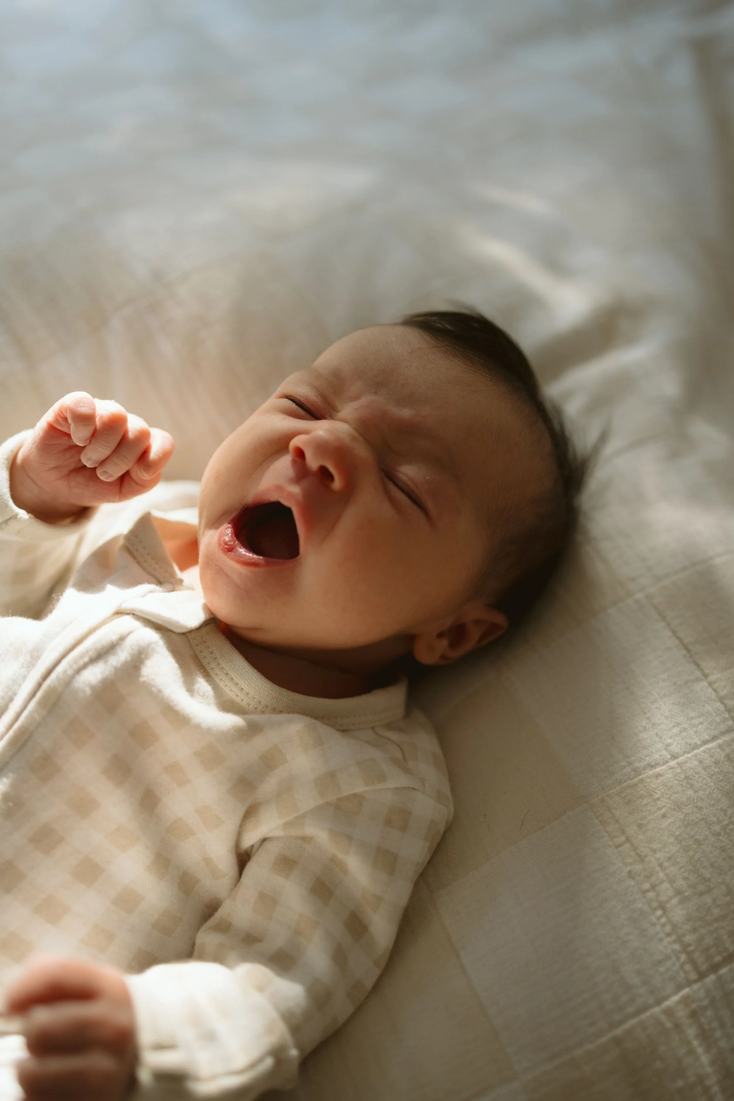 newborn-photography-northern-beaches-03.jpeg