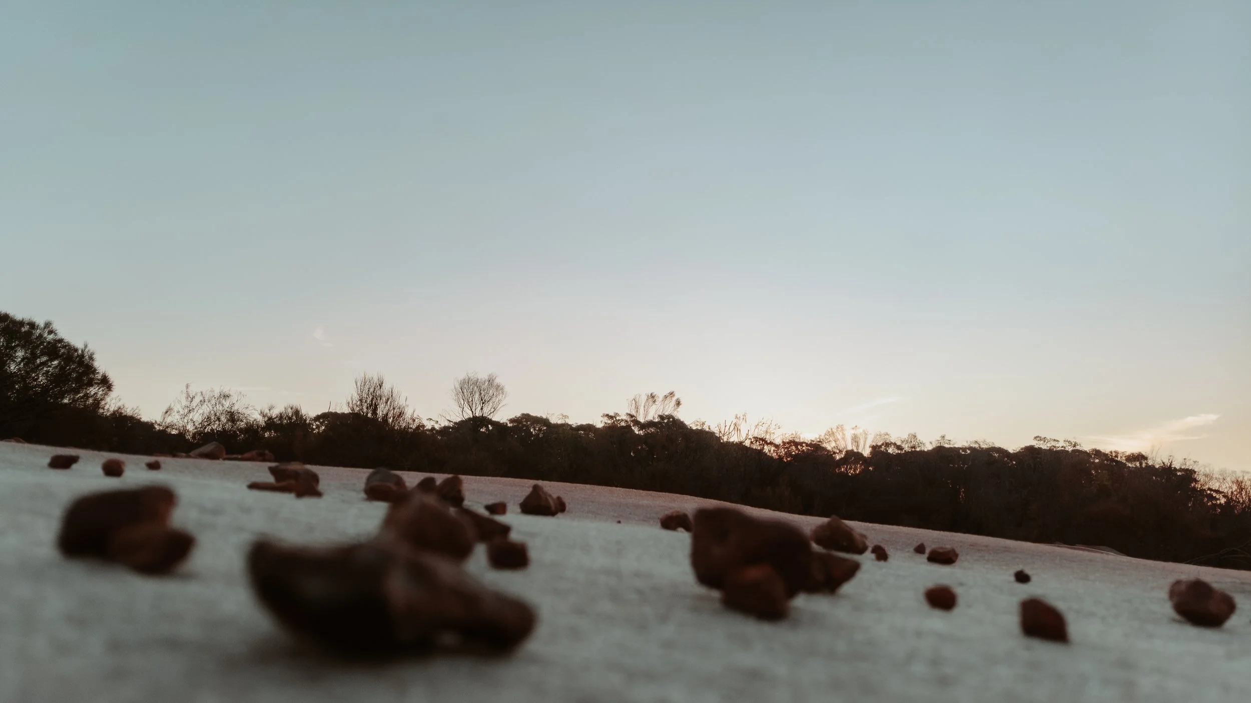 DJI_0648-Enhanced-NR.jpg