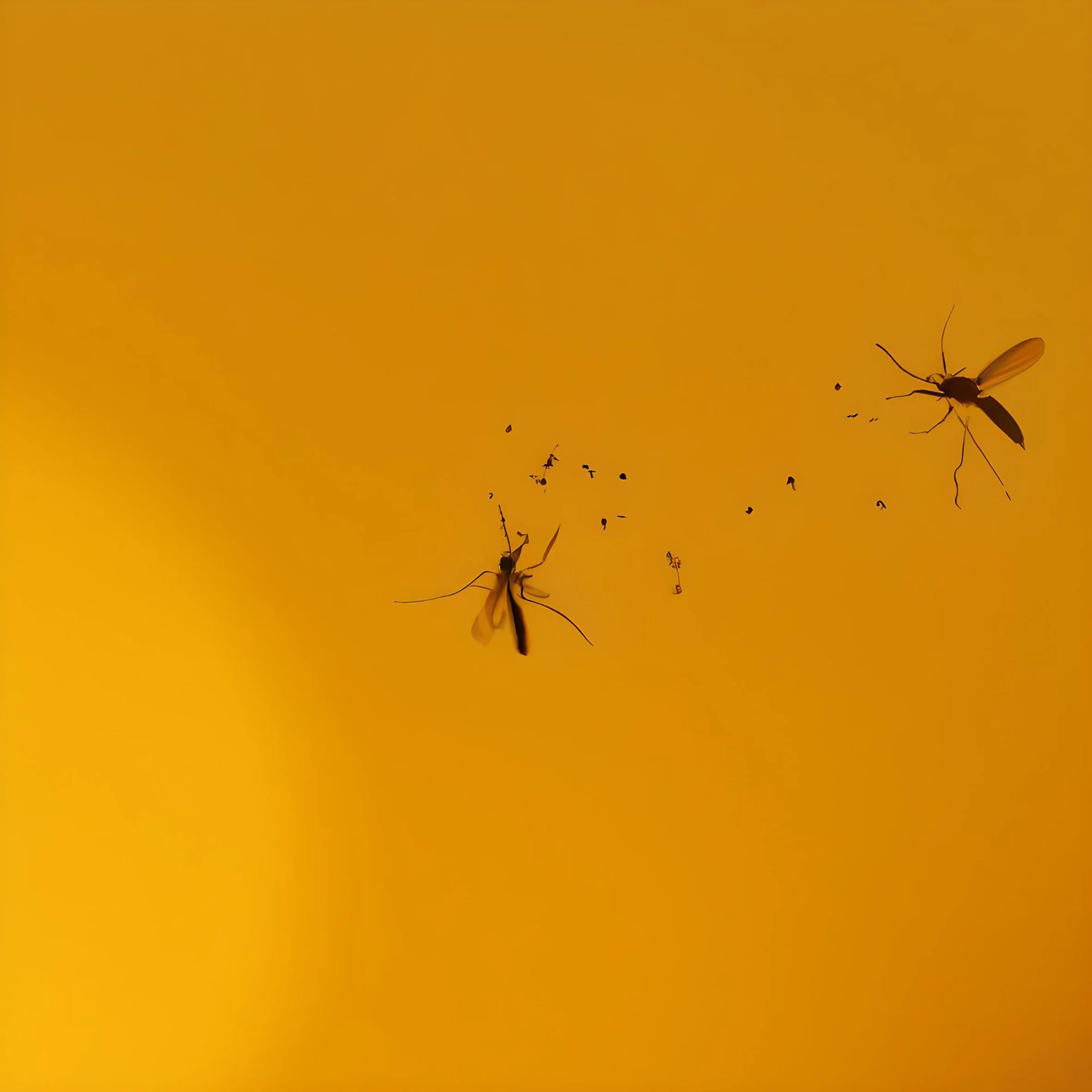 DALL·E 2023-03-11 17.57.21 - symphony of mosquitoes HQ.jpg