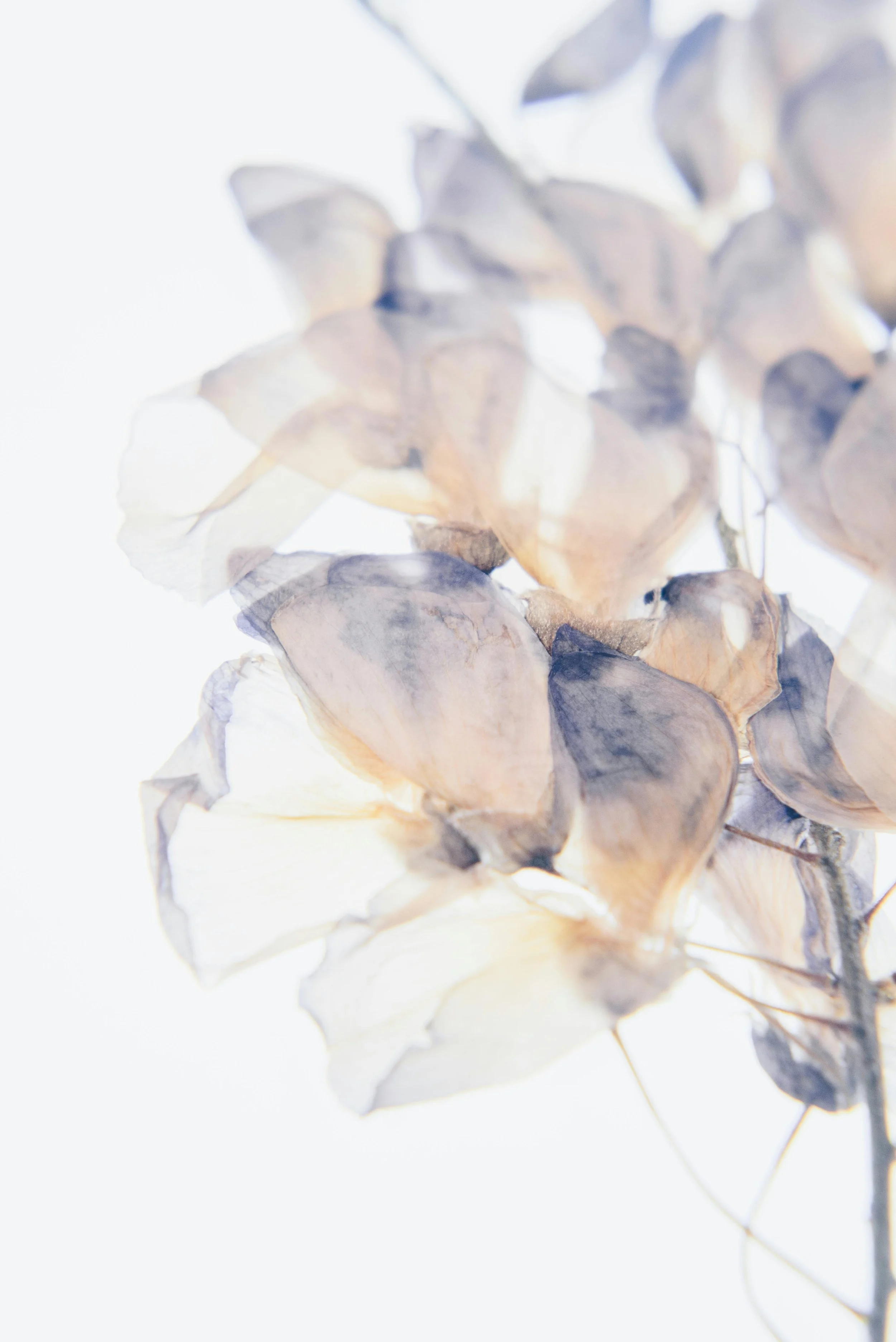 PCOS has a new name. why it matters