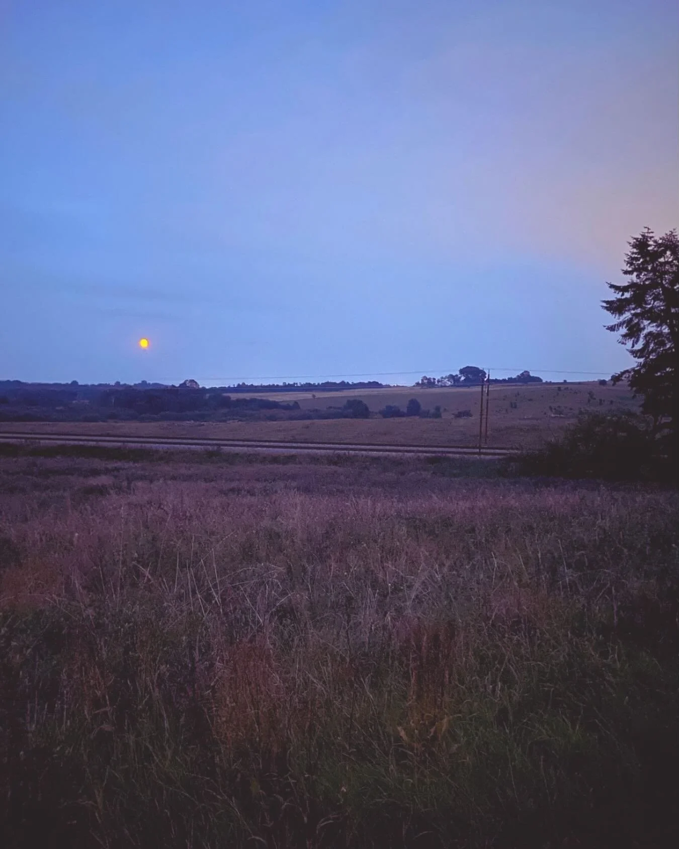 Godt nyt&aring;r venner, jeg h&aring;ber, I har haft en dejlig en af slagsen 🎉

Et af mine nyt&aring;rsfors&aelig;t for 2025 var &ldquo;at udgive mine egne sym&oslash;nstre?&rdquo; &ndash; sp&oslash;rgsm&aring;lstegnet for at undg&aring;, at det ble