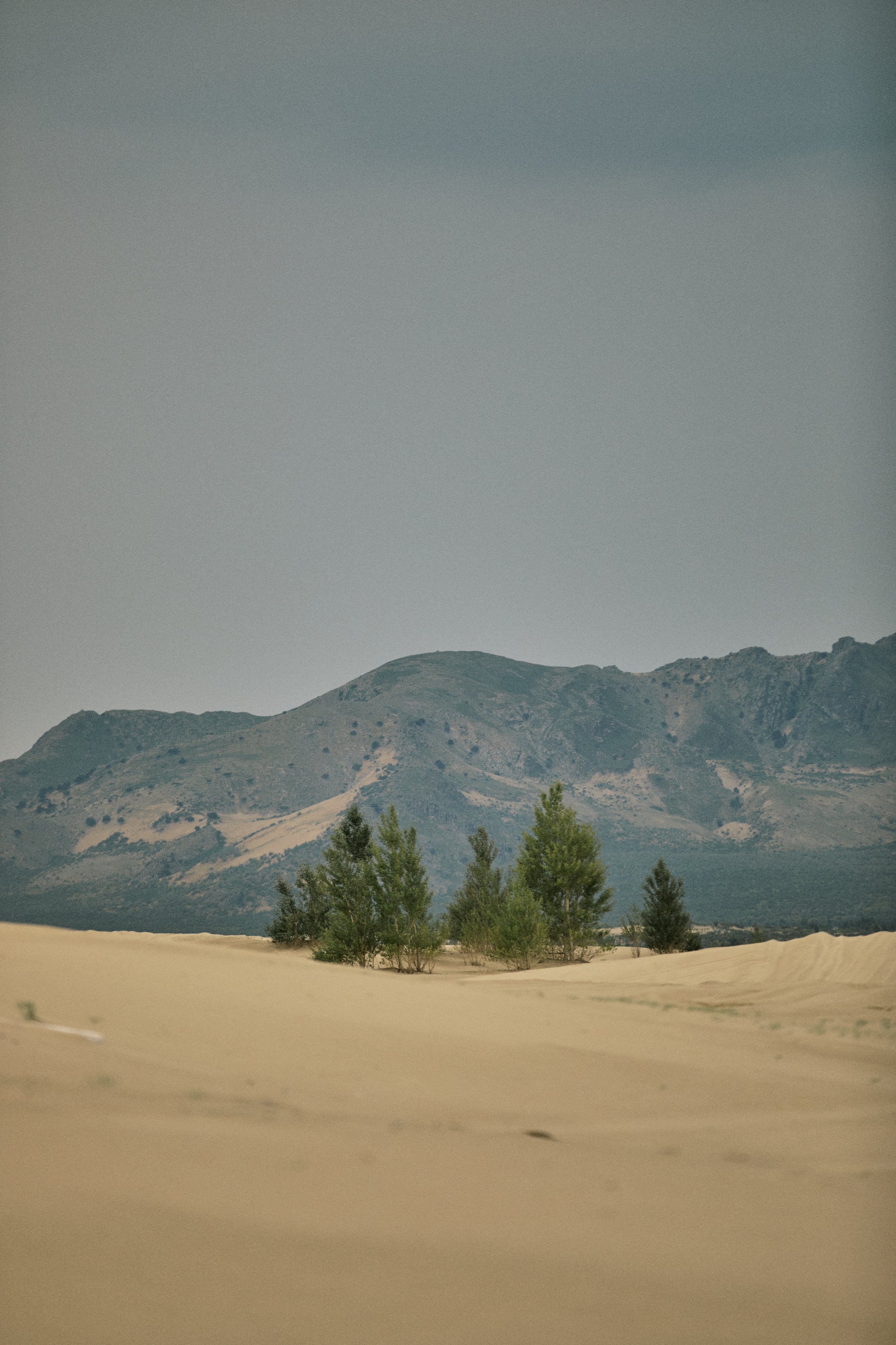 _YEE9057.jpg