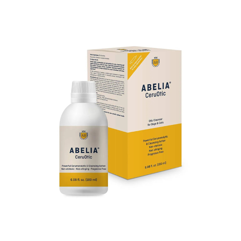 Single with carton.png