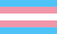 transgender pride flag symbolising community allie