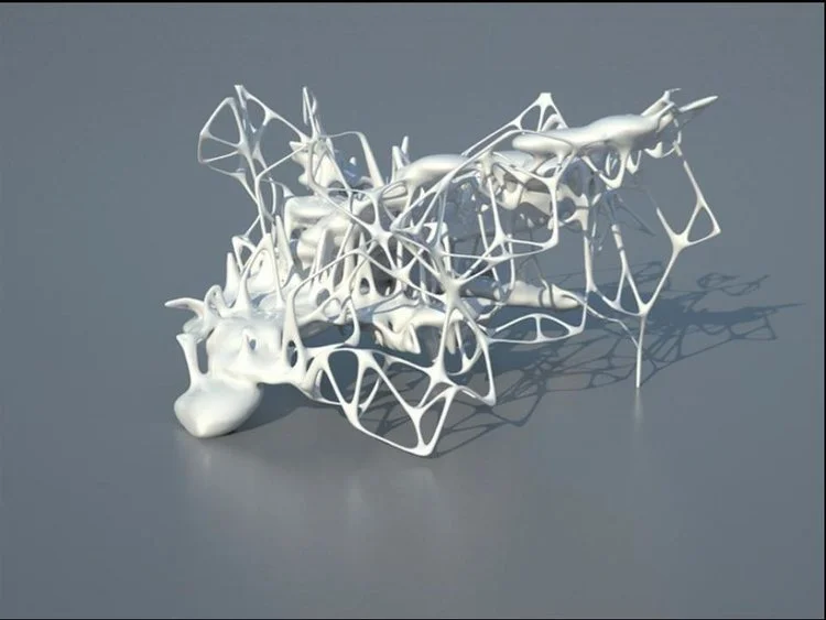 Form+and+Algorithm-4.jpg