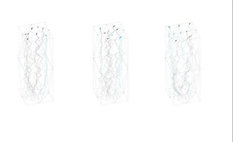 Form+and+Algorithm-9.jpg