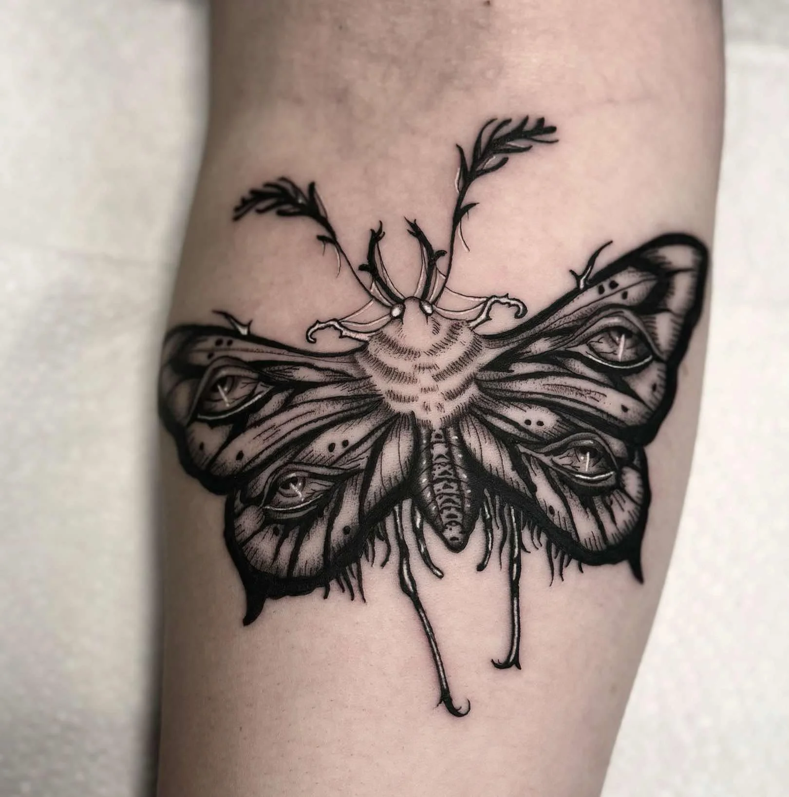 Dark moth tattoo.JPG